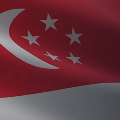 flag-icon